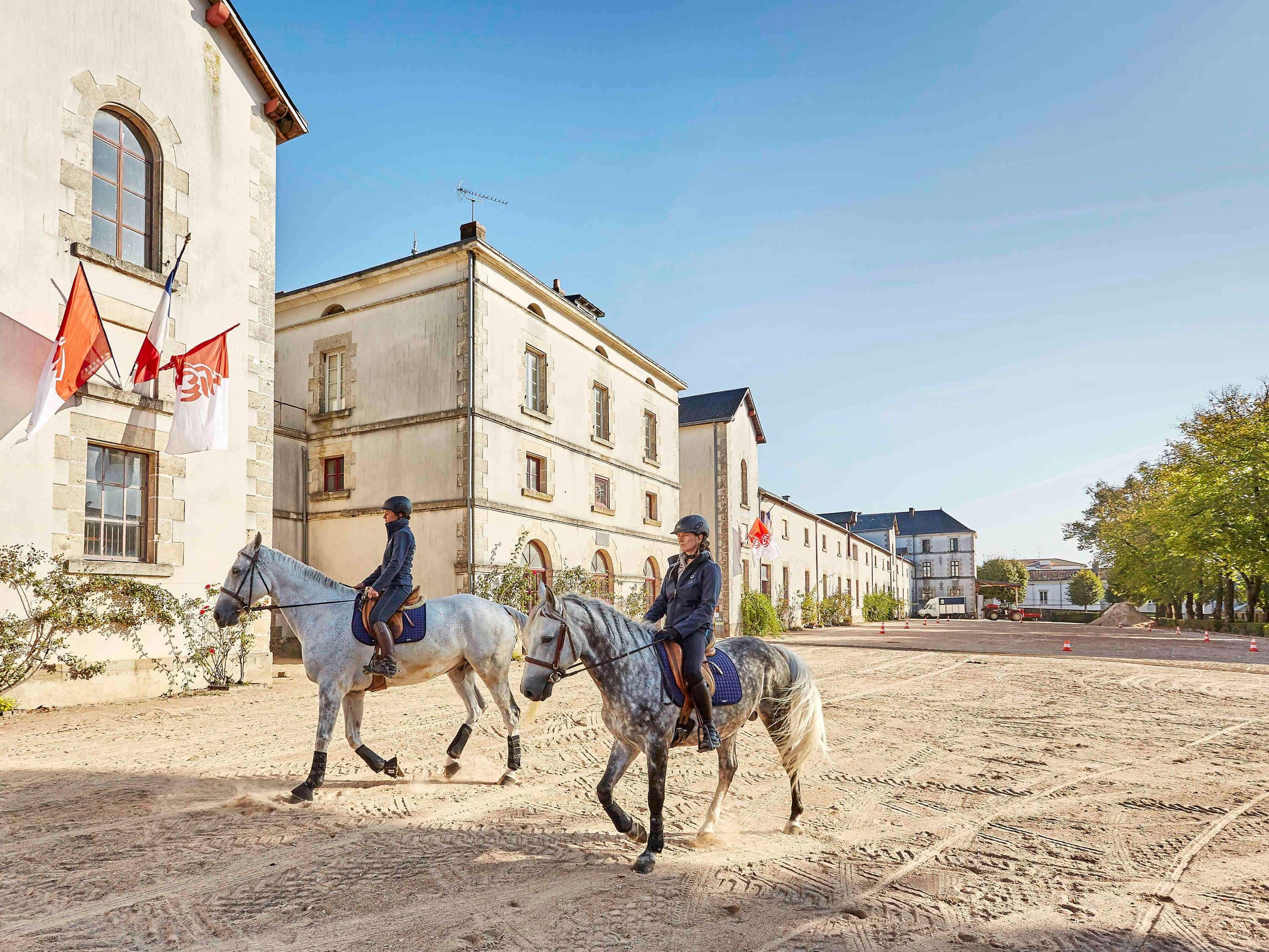 Mercure La Roche Sur Yon Eksteriør billede